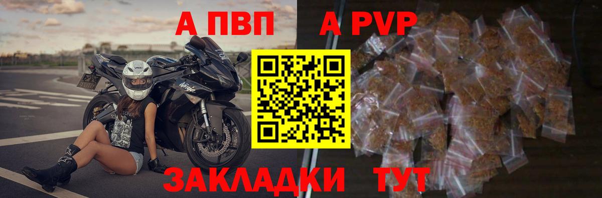 A PVP СК КРИС Йошкар-Ола