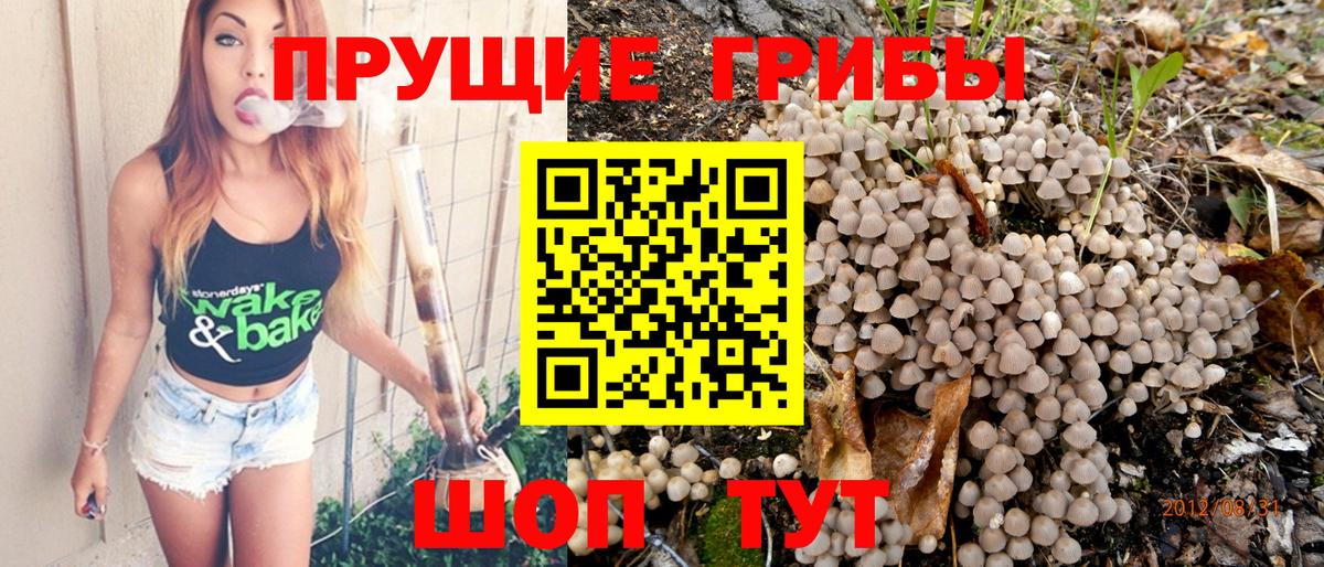 Галлюциногенные грибы Magic Shrooms  Вход с VPN  купить наркоту  Йошкар-Ола 