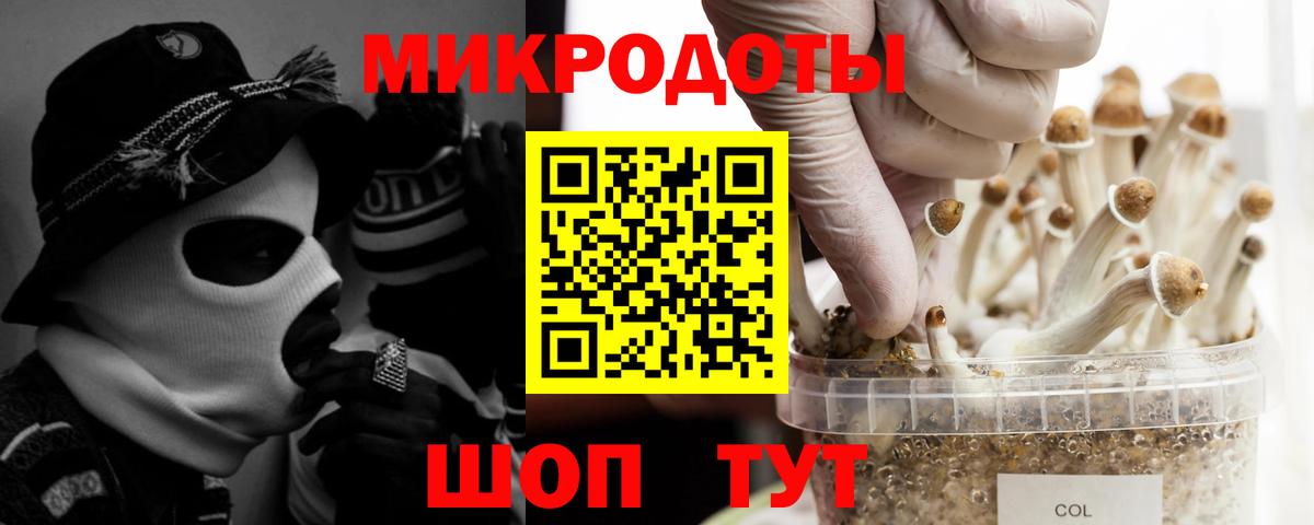 Галлюциногенные грибы Cubensis Йошкар-Ола